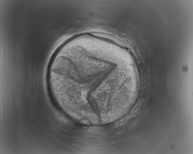 X0000116630104201001081301