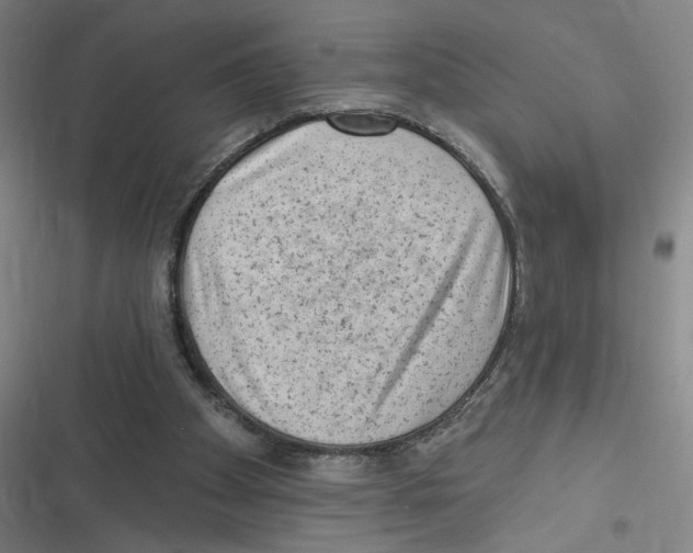 X0000116630105201001081301