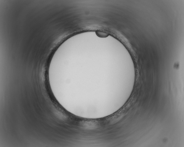 X0000116630106201001081301
