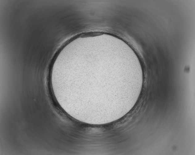 X0000116630107201001081301