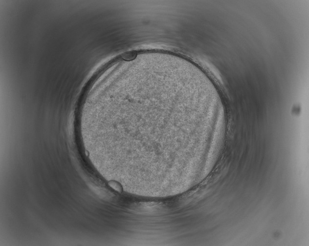 X0000116630108201001081301