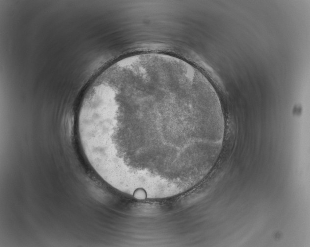 X0000116630110201001081301
