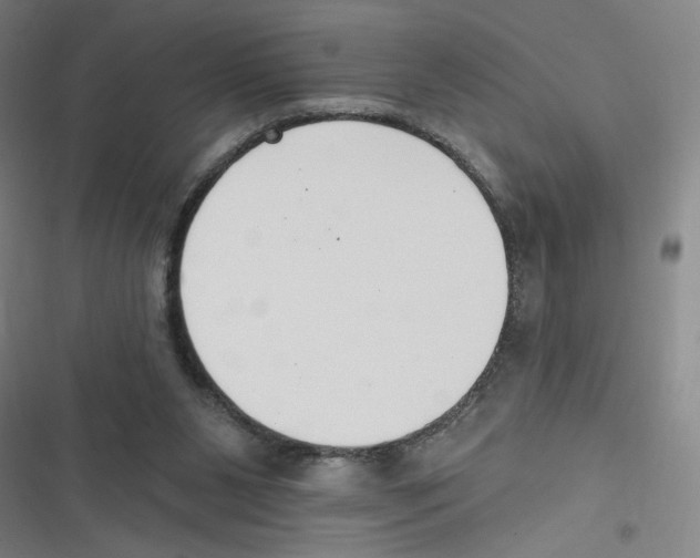 X0000116630111201001081301