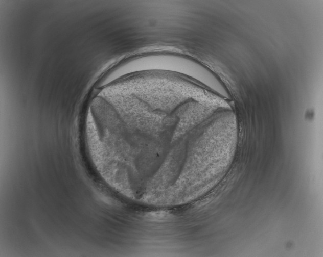 X0000116630112201001081301