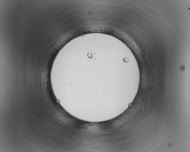 X0000116630113201001081301