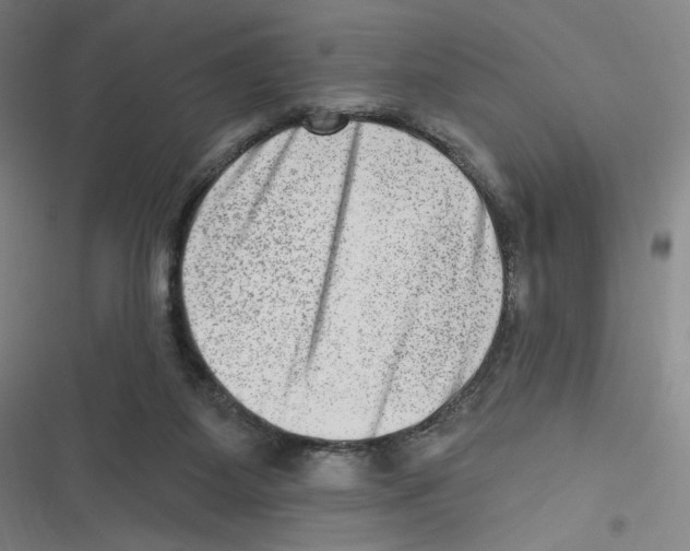 X0000116630115201001081301