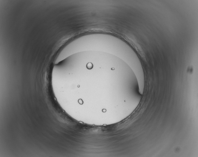 X0000116630116201001081301