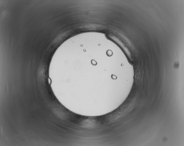 X0000116630119201001081301