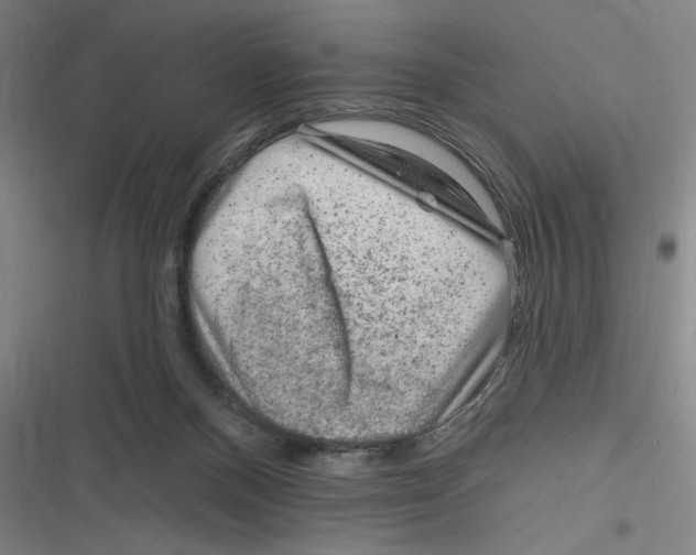 X0000116630120201001081301