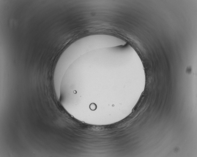 X0000116630121201001081301