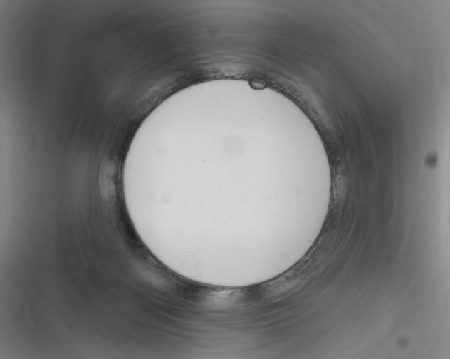 X0000116630122201001081300