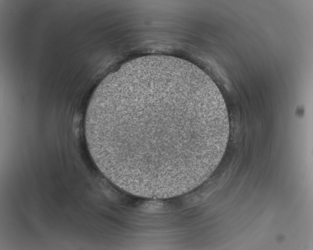 X0000116630123201001081300