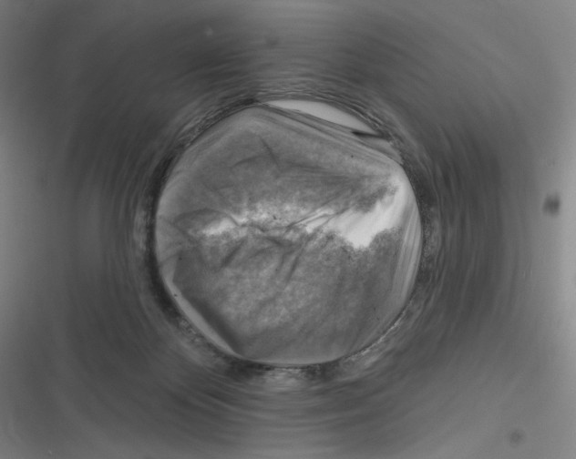 X0000116630124201001081300
