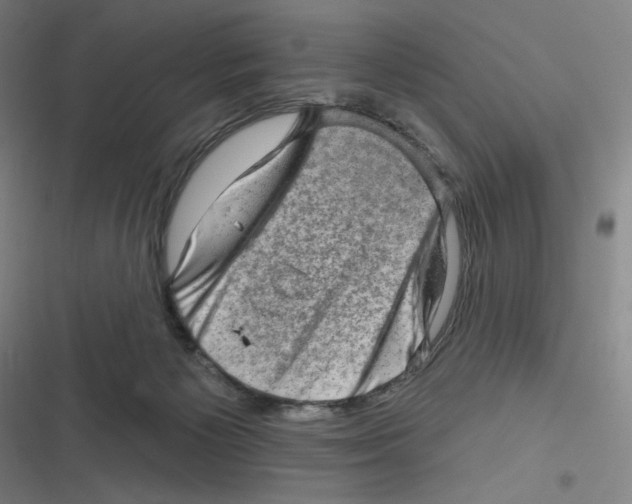 X0000116630125201001081300