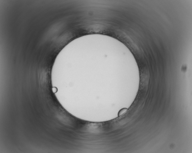 X0000116630126201001081300