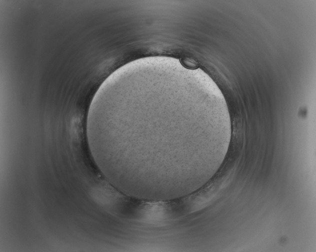 X0000116630127201001081300