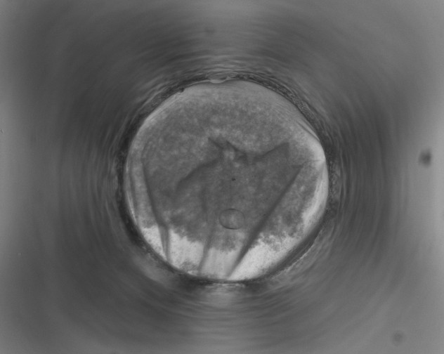 X0000116630128201001081300