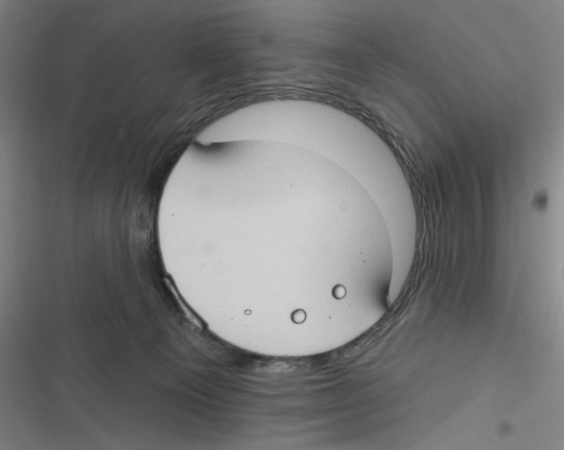 X0000116630129201001081300