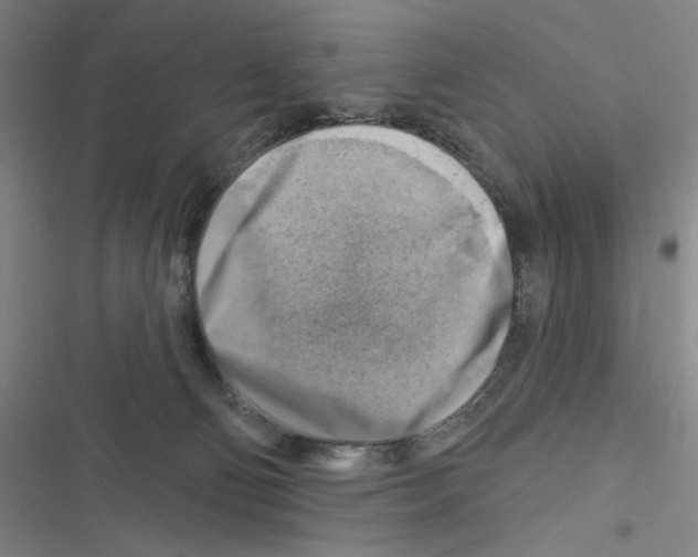 X0000116630130201001081300
