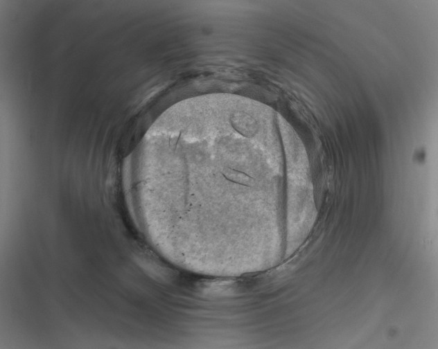 X0000116630132201001081300