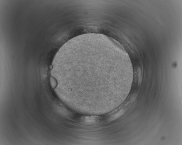 X0000116630134201001081300