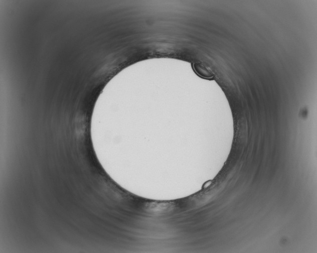 X0000116630135201001081300