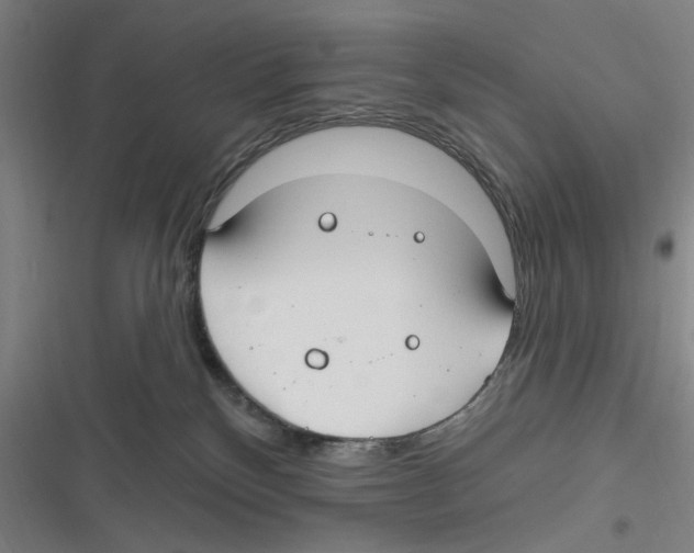 X0000116630136201001081300