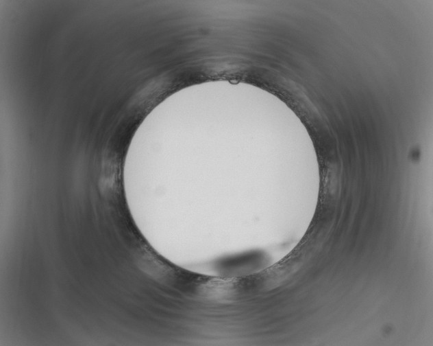 X0000116630138201001081300
