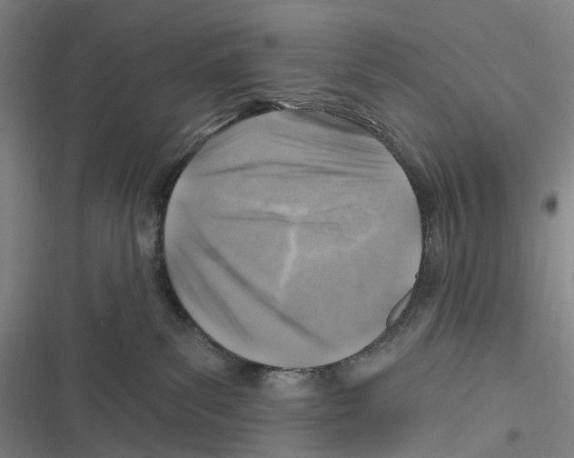 X0000116630139201001081300