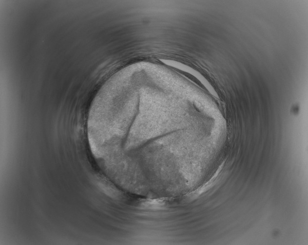 X0000116630140201001081300