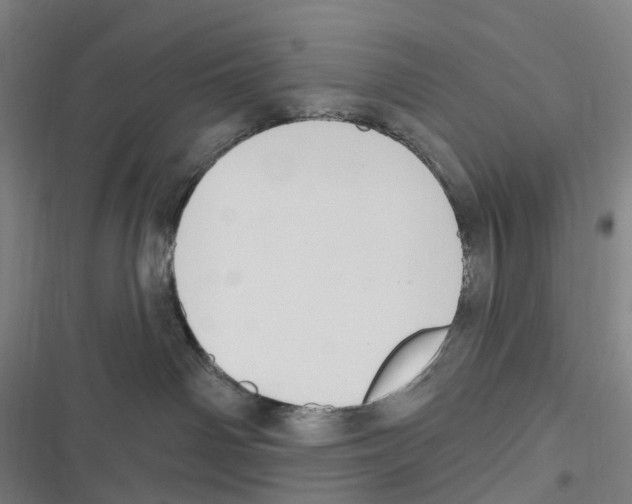 X0000116630142201001081300