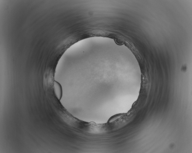 X0000116630143201001081300