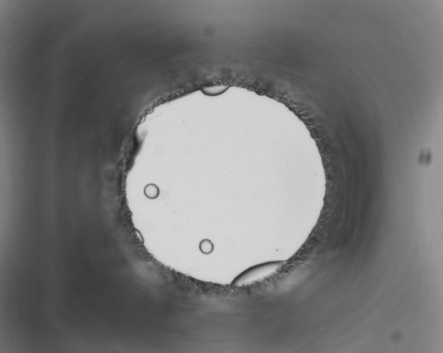 X0000116630144201001081300