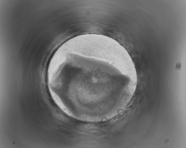 X0000116630146201001081300