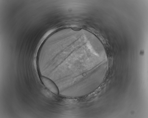 X0000116630147201001081300