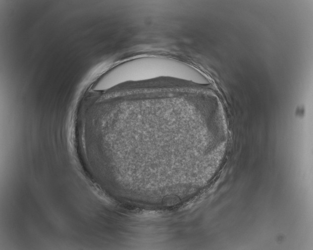 X0000116630149201001081300