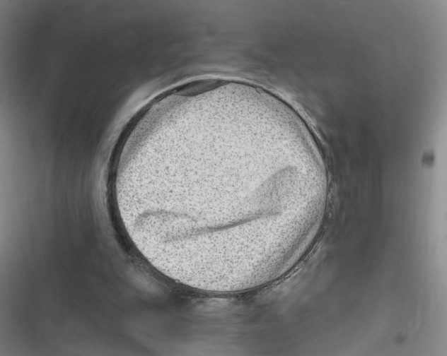 X0000116630151201001081300