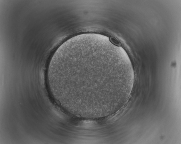 X0000116630154201001081300