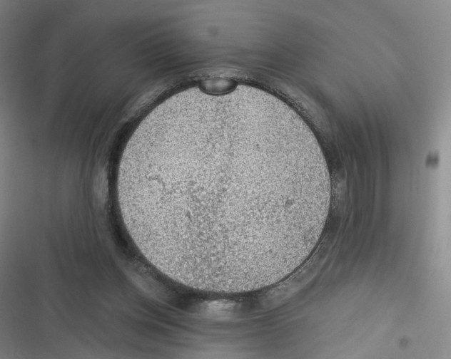 X0000116630158201001081300