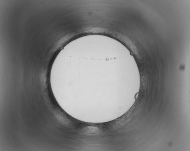 X0000116630159201001081300