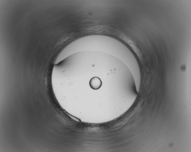 X0000116630161201001081300