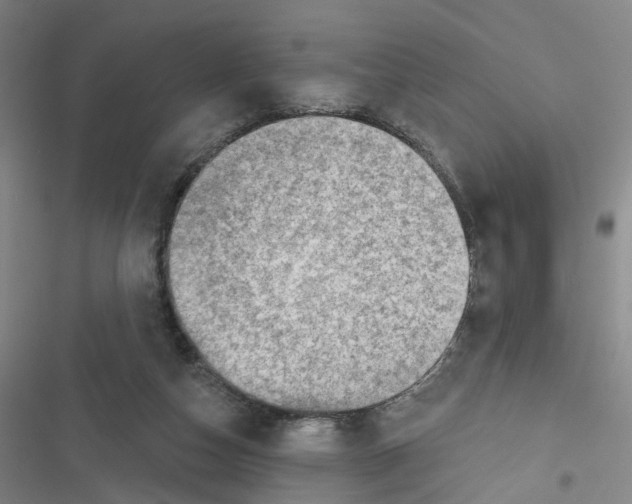 X0000116630162201001081300