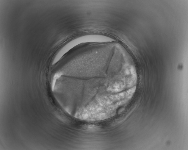 X0000116630165201001081300
