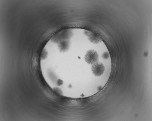 X0000116630166201001081300