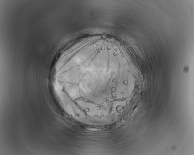 X0000116630167201001081300