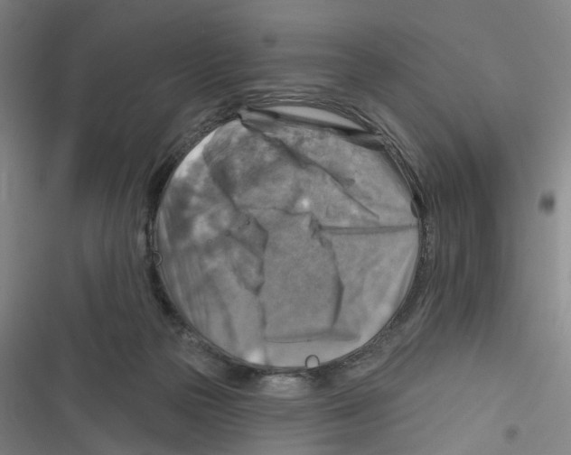 X0000116630169201001081300