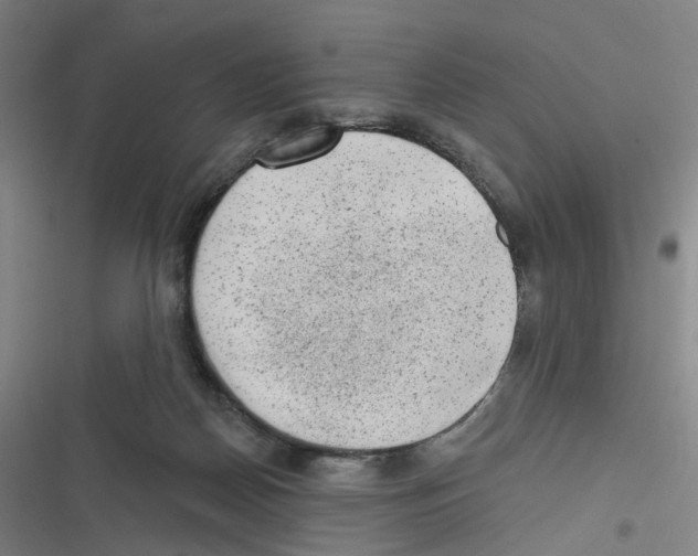 X0000116630170201001081300