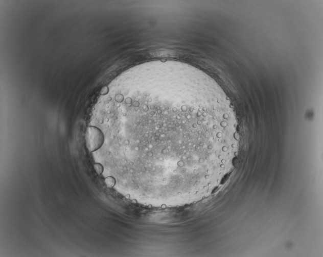 X0000116630171201001081300