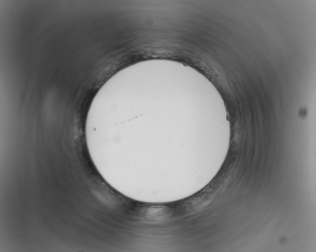 X0000116630173201001081300