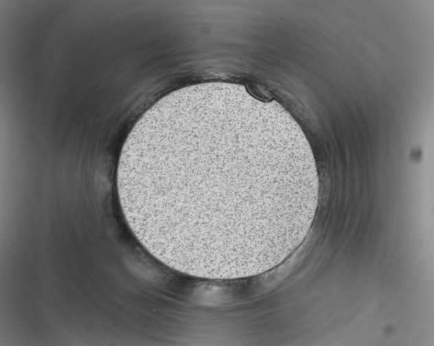 X0000116630174201001081300